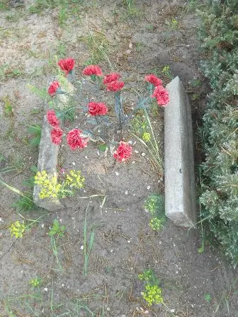 Zdjęcie grobu 32/100