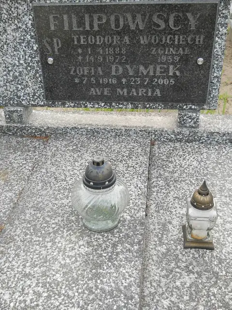 Zdjęcie grobu 8/10605