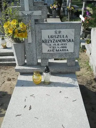 Zdjęcie grobu 7/100