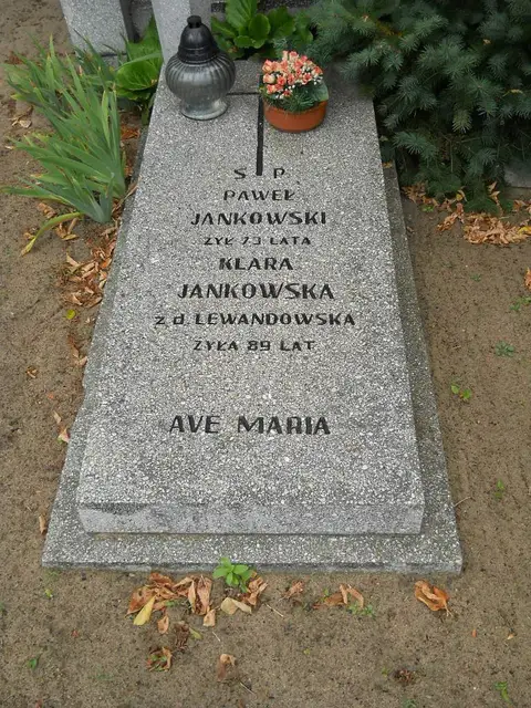 Zdjęcie grobu 14/26051