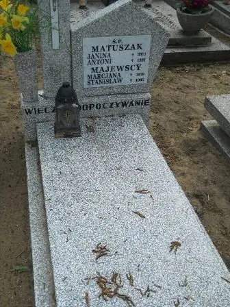 Zdjęcie grobu 33/77