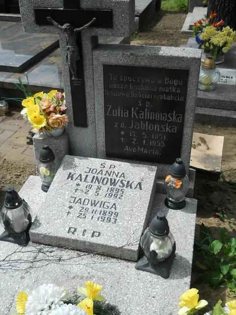 Zdjęcie grobu 5/22556
