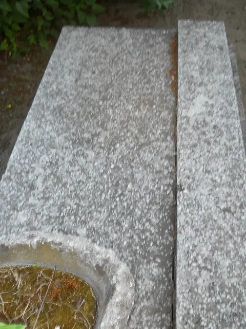 Zdjęcie grobu 13/12198