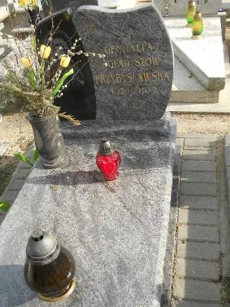 Zdjęcie grobu 9/100