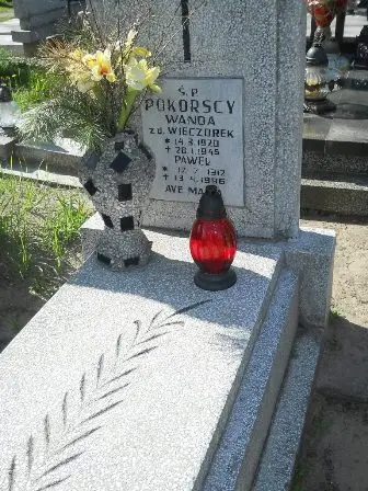 Zdjęcie grobu 24/100