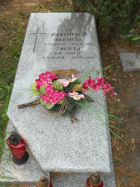 Zdjęcie grobu 18/28641