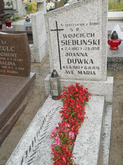 Zdjęcie grobu 14/6597/76