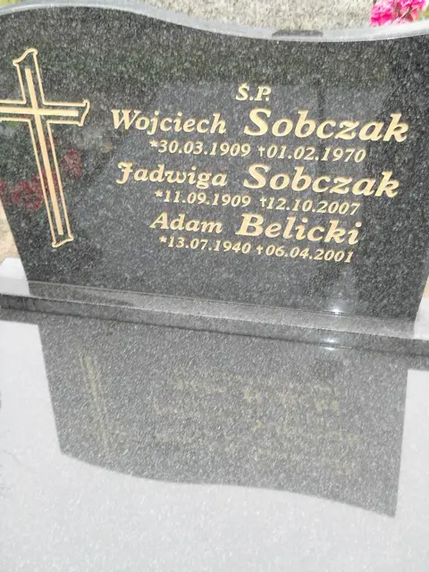 Zdjęcie grobu 24/23419