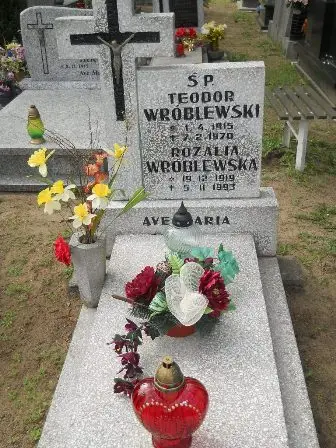 Zdjęcie grobu 38/133,133a
