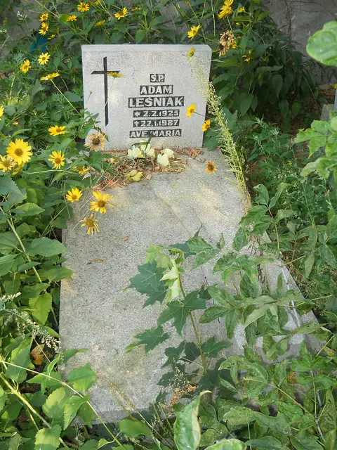 Zdjęcie grobu 18/28703