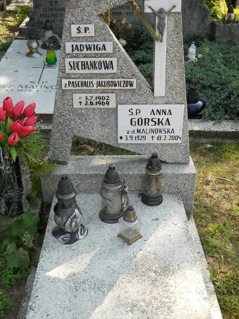 Zdjęcie grobu 14/27565