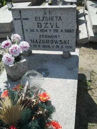 Zdjęcie grobu 11/100
