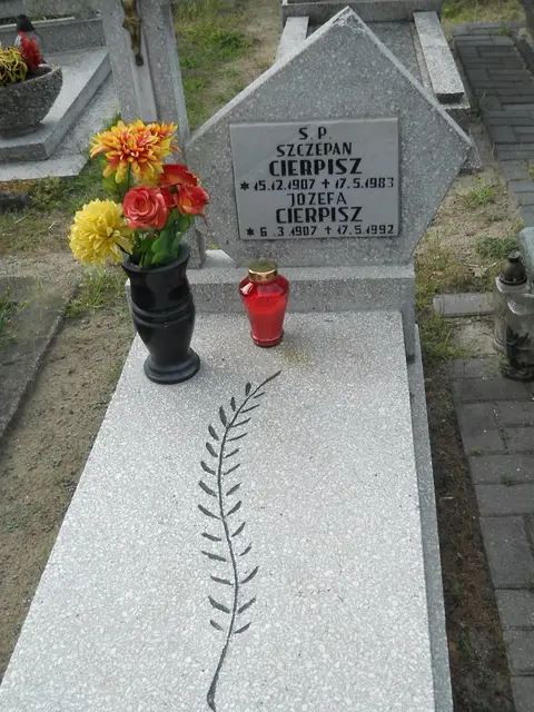 Zdjęcie grobu 11/29179