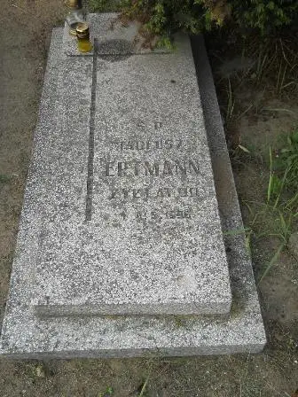 Zdjęcie grobu P/143
