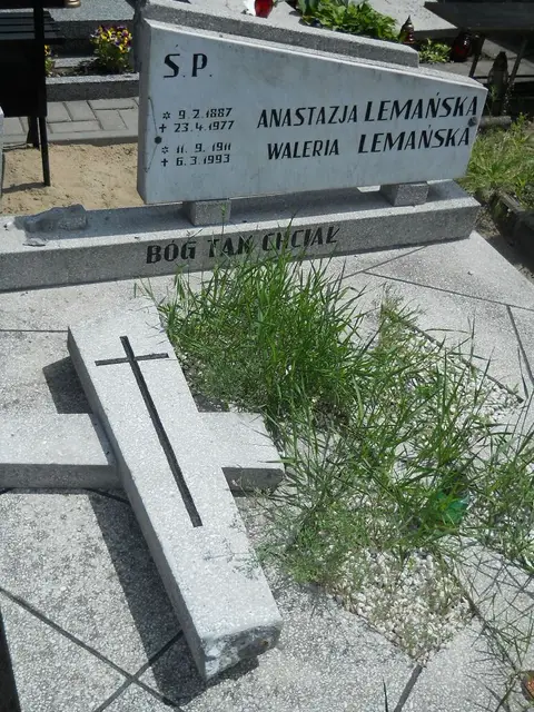 Zdjęcie grobu 7/11502