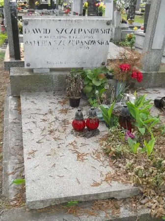 Zdjęcie grobu 33/100