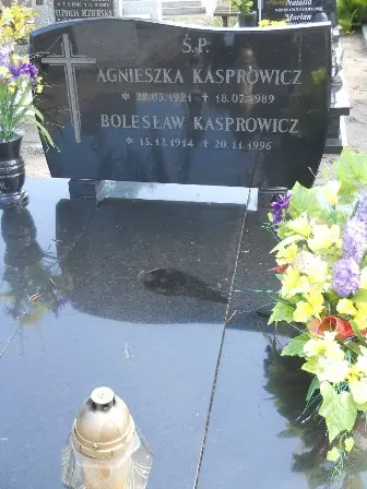 Zdjęcie grobu 46/28,28a
