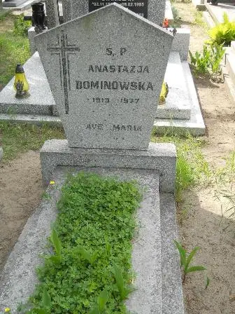 Zdjęcie grobu 20/460