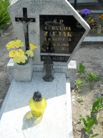 Zdjęcie grobu 25/242
