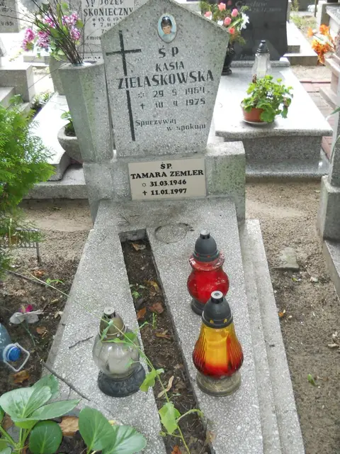 Zdjęcie grobu 13/29666
