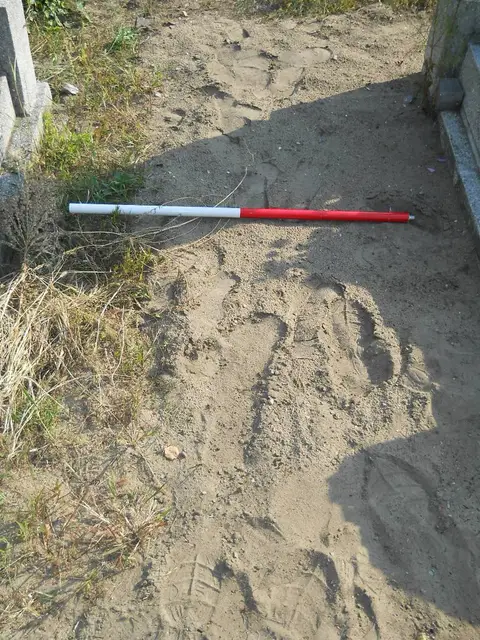 Zdjęcie grobu 14/27751
