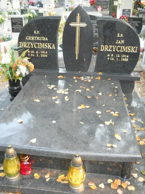 Zdjęcie grobu 14/26866