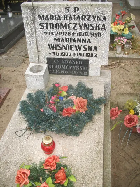 Zdjęcie grobu 8A/10302