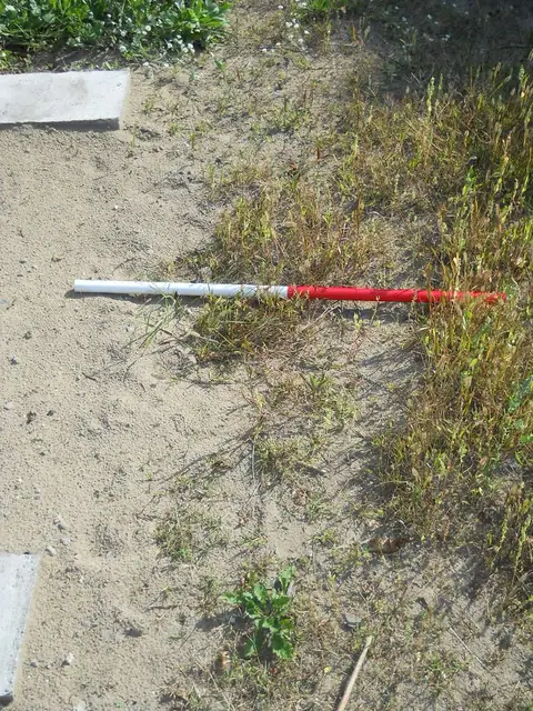 Zdjęcie grobu 14/27662