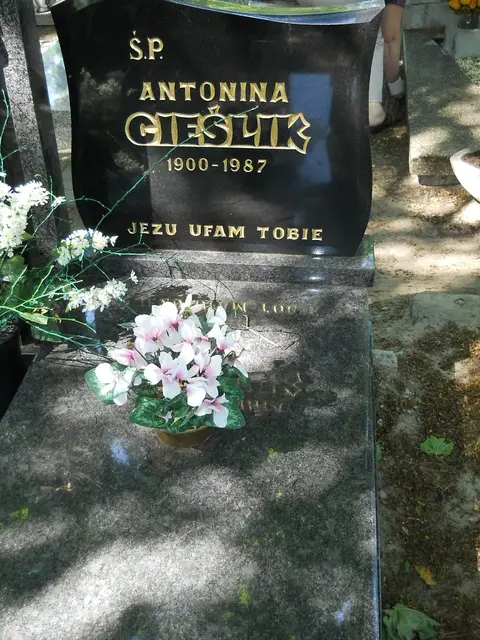 Zdjęcie grobu 8A/10370