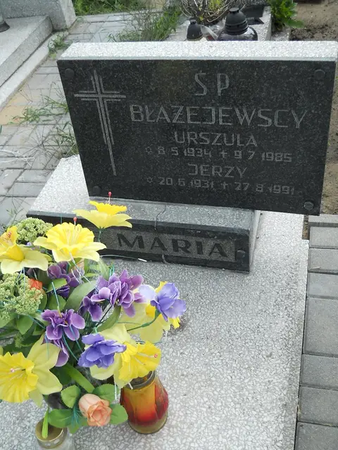 Zdjęcie grobu 26/22816