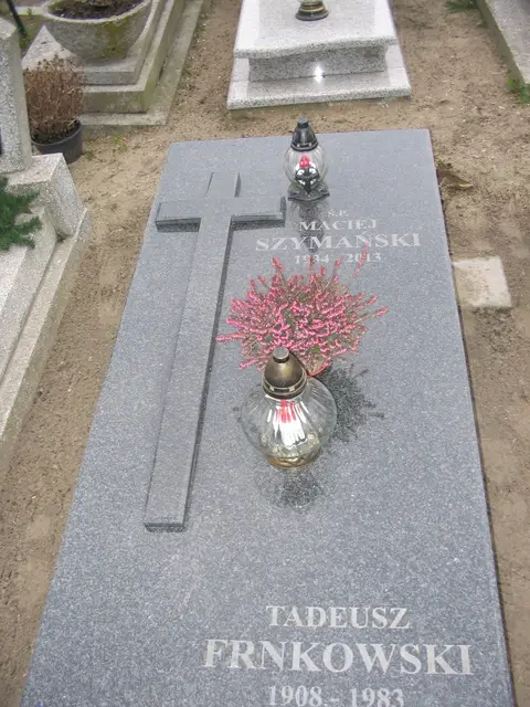 Zdjęcie grobu 8A/10093