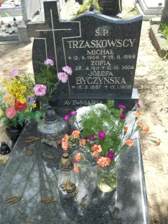 Zdjęcie grobu 28/268