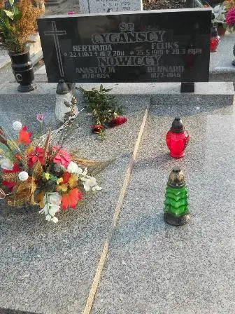 Zdjęcie grobu 4/208
