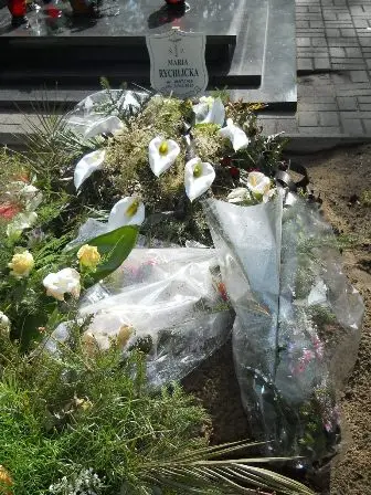 Zdjęcie grobu N/209,210