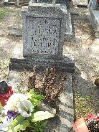 Zdjęcie grobu 20/409
