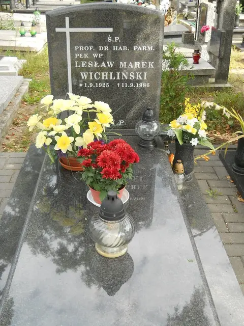 Zdjęcie grobu 6/24108