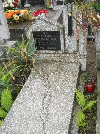 Zdjęcie grobu 36/219