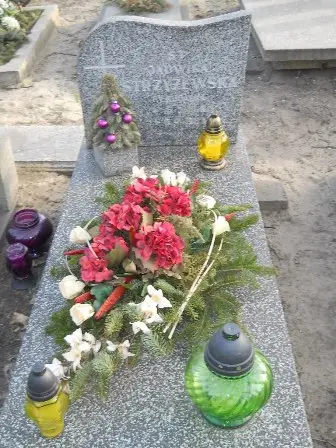 Zdjęcie grobu J/311