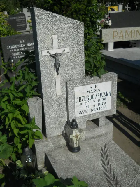 Zdjęcie grobu 7/12038