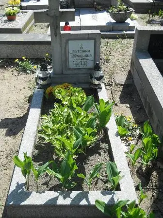 Zdjęcie grobu J/49