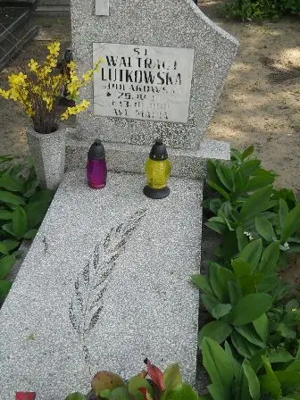 Zdjęcie grobu 26/257
