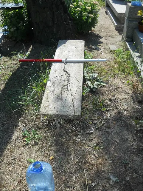 Zdjęcie grobu 14/27382