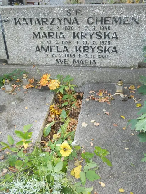 Zdjęcie grobu 15/26807