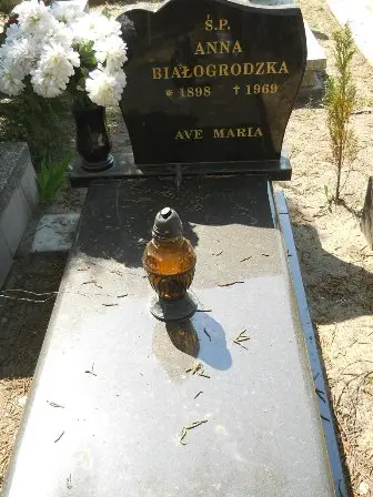 Zdjęcie grobu 30/100