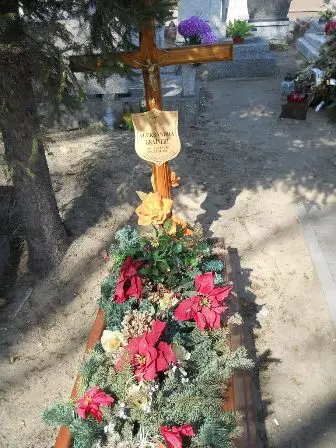 Zdjęcie grobu 3/61