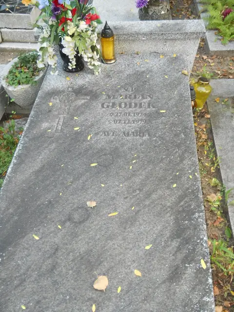 Zdjęcie grobu 14/26861