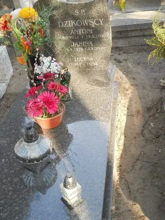 Zdjęcie grobu 15/100