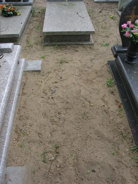 Zdjęcie grobu 15/26644