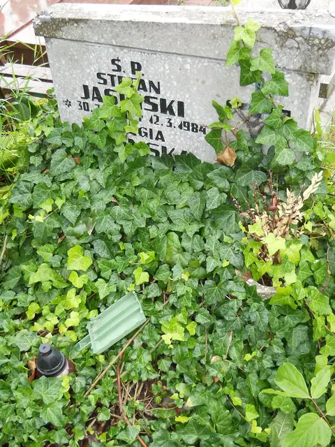 Zdjęcie grobu 24/23302