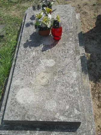 Zdjęcie grobu 42/281a